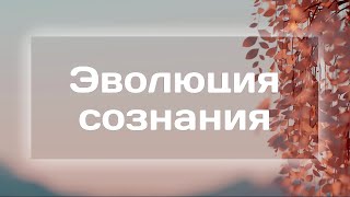 Эволюция сознания #новыйчеловек #переход_в_4_измерение #трансформация #новаяреальность