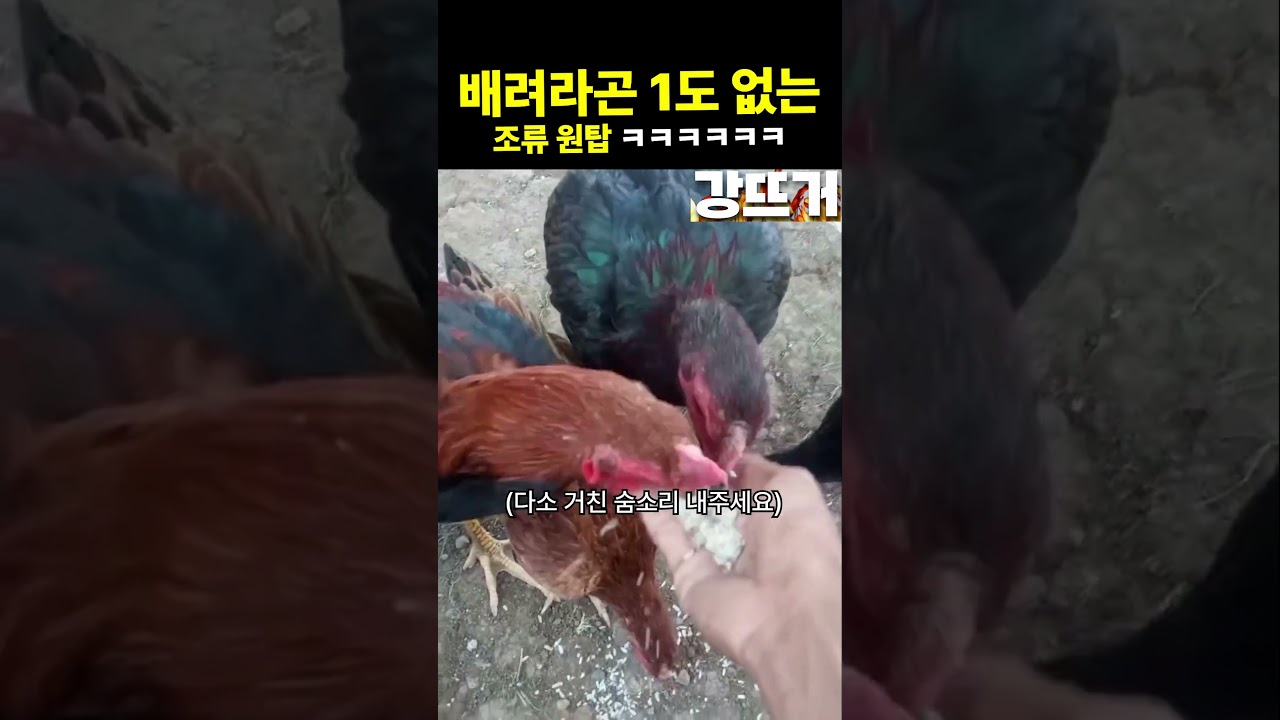 계자식이네