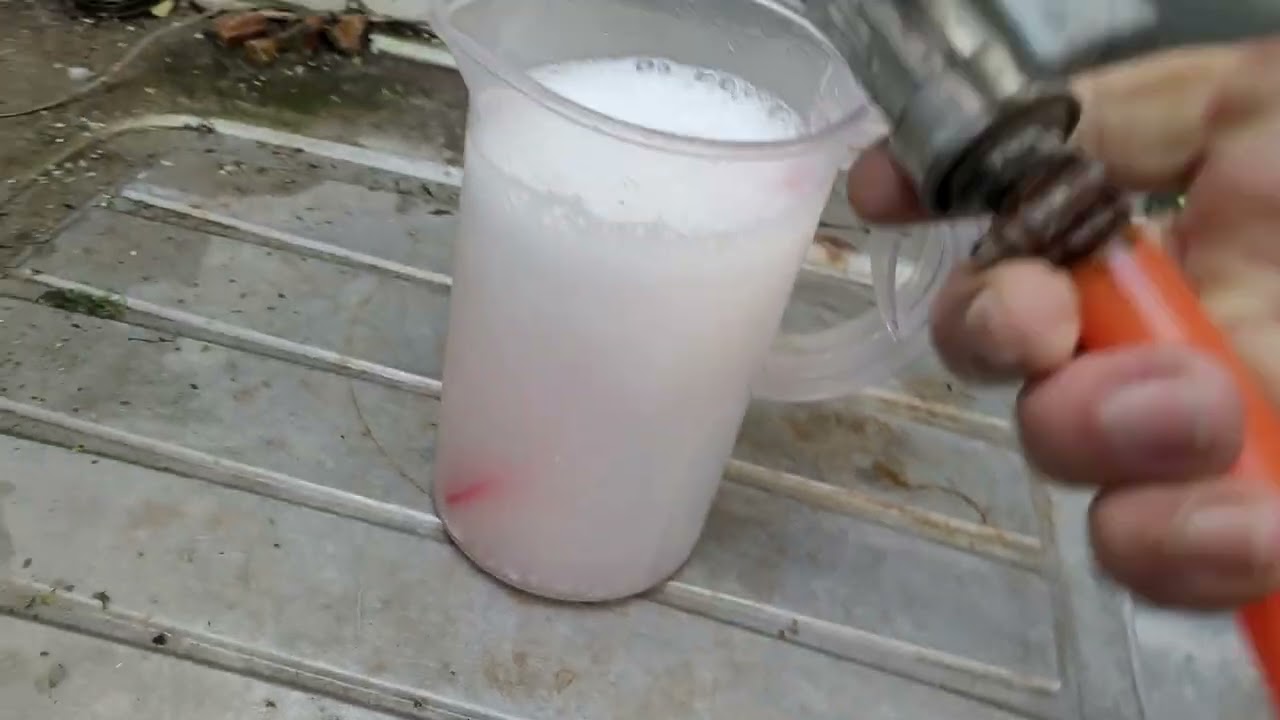 GUPPYS LINDOS PASSEIO PELA CRIAÇÃO DICAS TRATAMENTO COM TRICLORFON. PEIXE NA ÁGUA DE PEIXE 🤠👍🦈🇧🇷