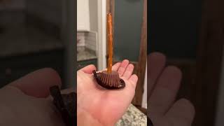 EASY, no-bake Halloween Treat