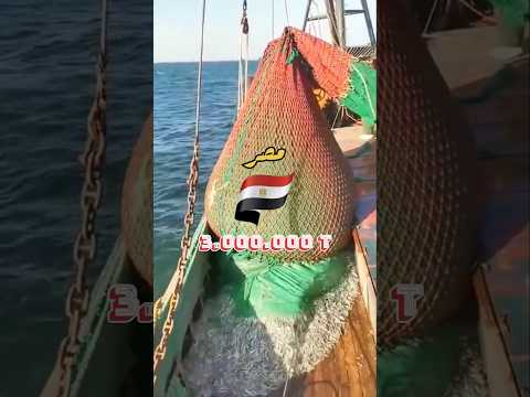 ماهي الدول العربية الاكثر انتاجا للثروة السمكية  احصائيات