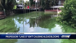 Local expert comes up with possible solution for blue green algae problem
