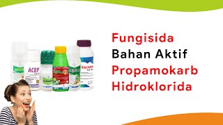 6 Fungisida Selektif Bahan Aktif Propamokarb Hidroklorida
