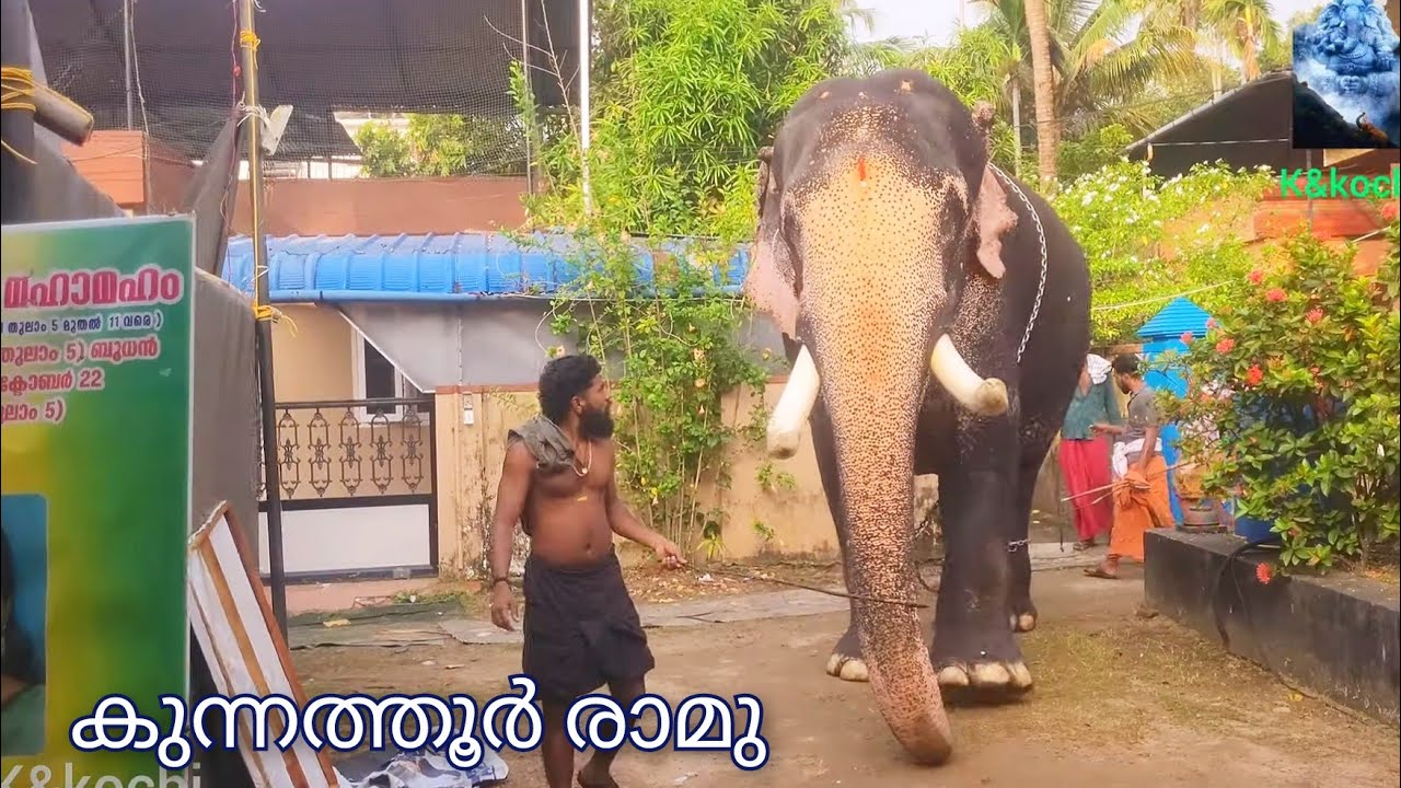 പെരുമ്പടപ്പ് ശ്രീ സുബ്രഹ്മണ്യസ്വാമി ക്ഷേത്രത്തിൽ!!2026