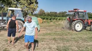 Zetor 7711 Vs Rakovica 65