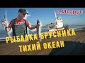 Остров Итуруп | Рыбалка | Брусника | залив Касатка