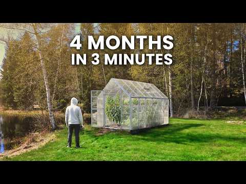 I Filmed My Greenhouse For 4 Months │ Time-lapse