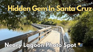 Hidden Gem in Santa Cruz 📸 Neary Lagoon Photo Spot! | California Photo Locations Series