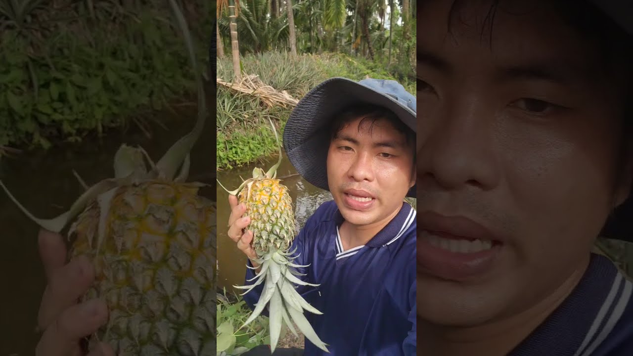 Latest Title & Thumbnail