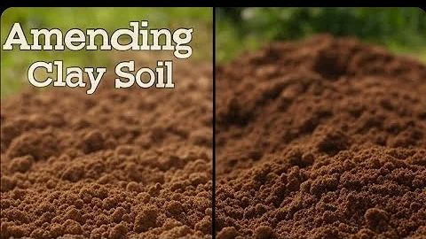 THIS Is The BEST Way To AMEND Clay Soil