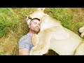 The Loving Bond Between Lions and Man | The Lion Whisperer