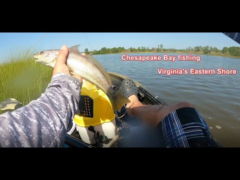 Chesapeake Bay Fishing - Virginia's Eastern Shore 