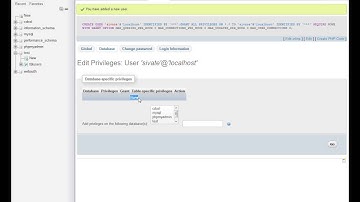 VCL C++ builder + MySQL connect and Insert