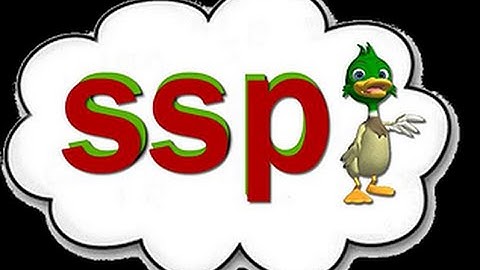 Speech Sound Pics (SSP) - What is SSP?