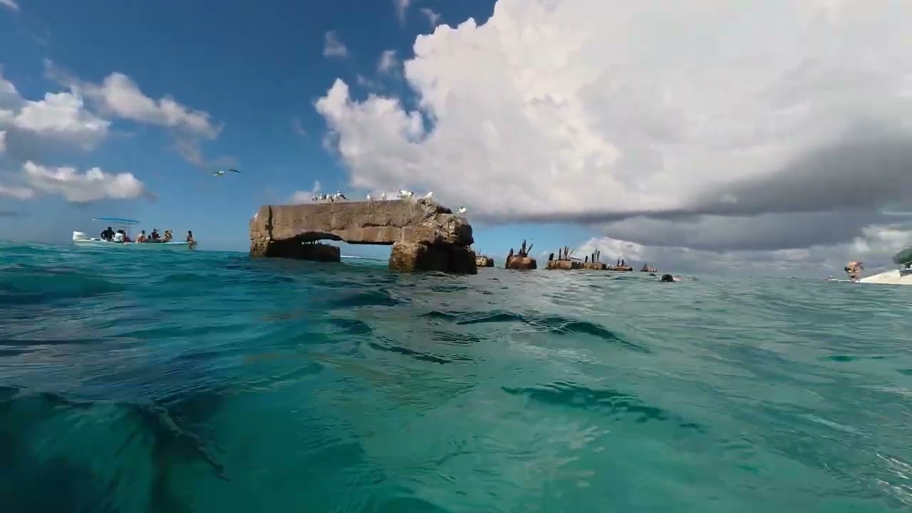 Snorkeling at Saona island, stingrays on the sea bed. 4k 