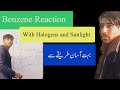Reaction of Benzene: Halogenation of Benzene | 2nd Year Chemistry | Aromatic Compounds