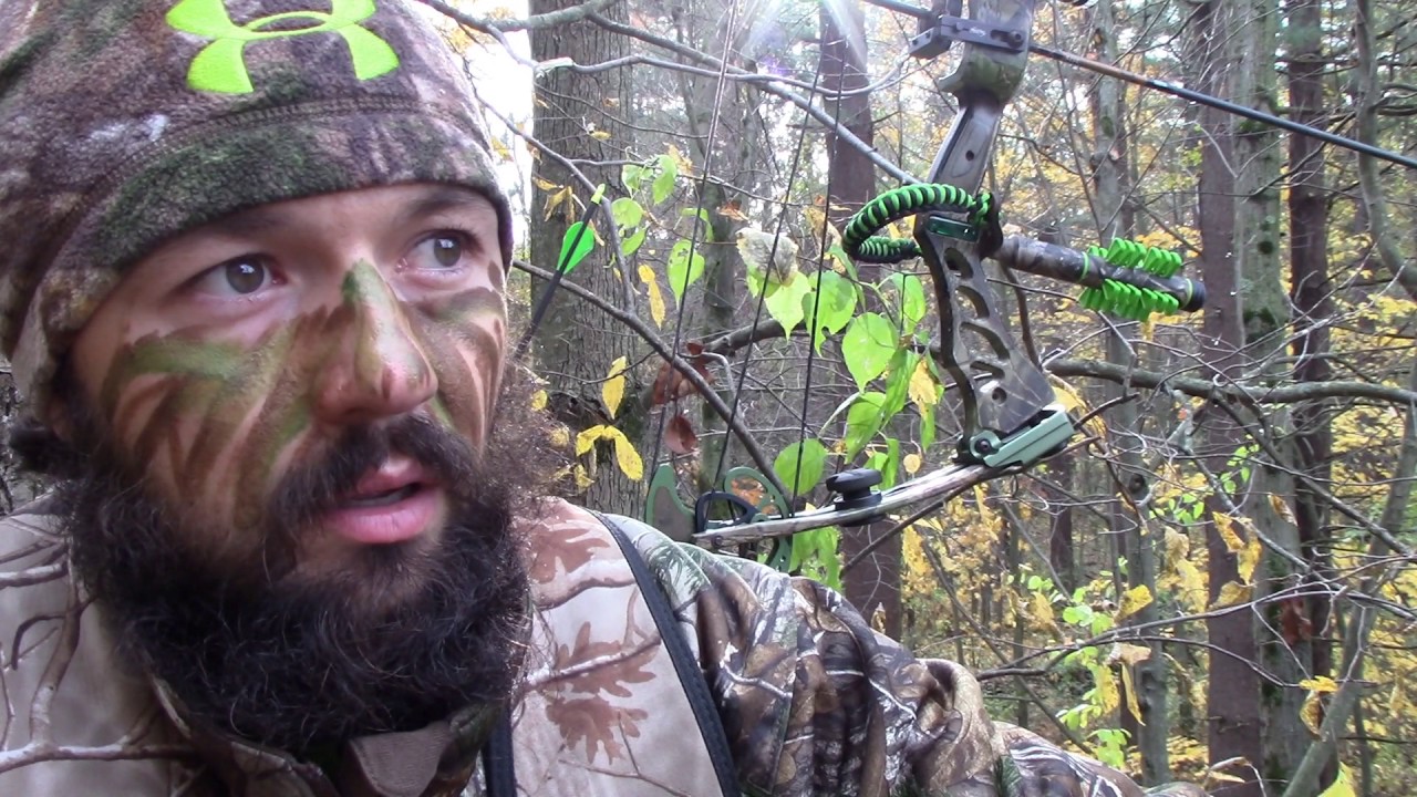 Michigan bow hunting 2016 Two big public land 8pts!! YouTube