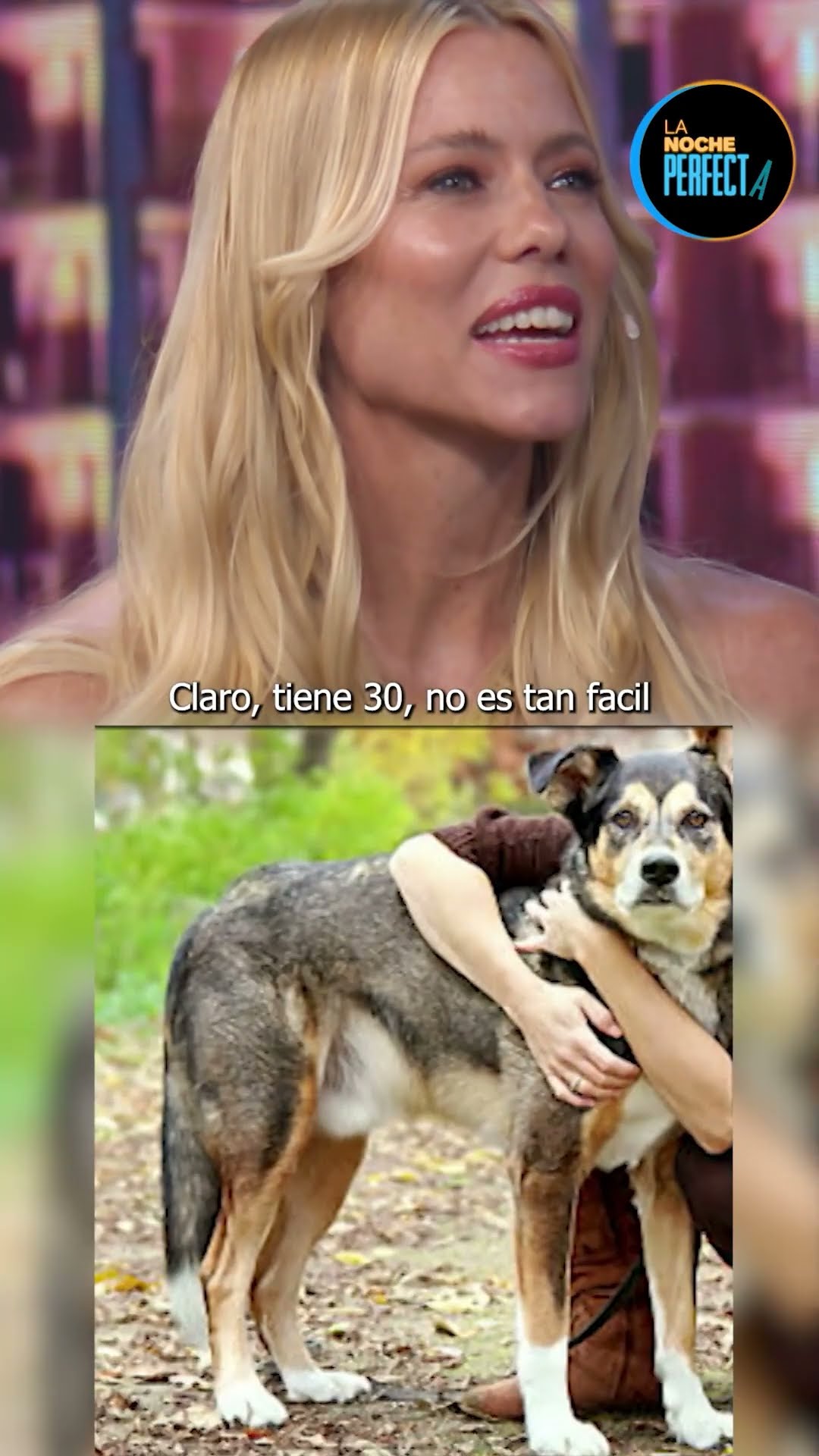 ¿NICOLE NEUMANN CONOCE A TODOS SUS PERROS? Sebastián Wainraich la puso a prueba