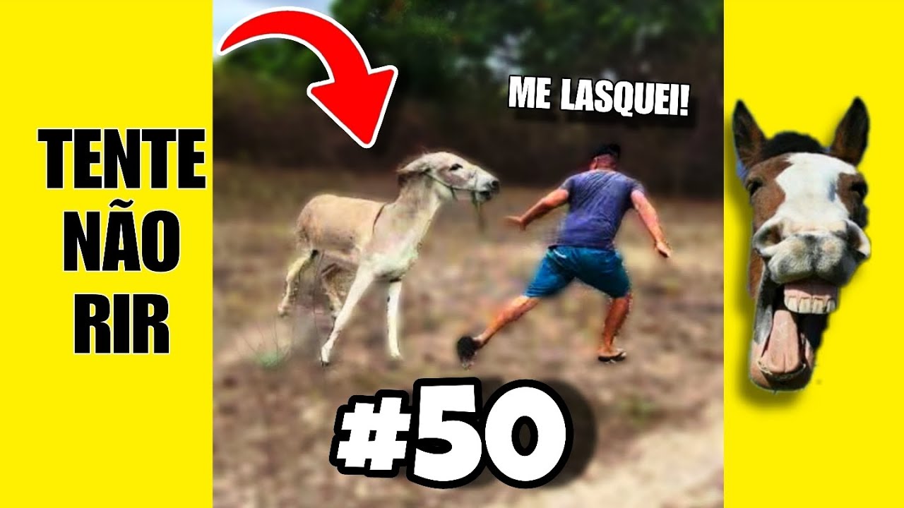 VÍDEOS ENGRAÇADOS 50: TENTE NÃO RIR #humor #tentenaorir #comedia #memes #tentenaorir #viral 