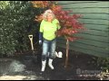 Arts Nursery - How To Plant a Tree