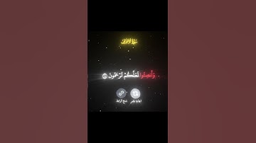 وأذا قرئ القران فاستمعو له / ياسر الدوسري / سورة الأعراف / قران كريم شاشه سوداء / كرومات شاشه سوداء