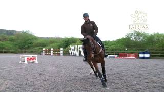 Emilie Chandler Masterclass in Minutes no 6 - Fences on shallow loop