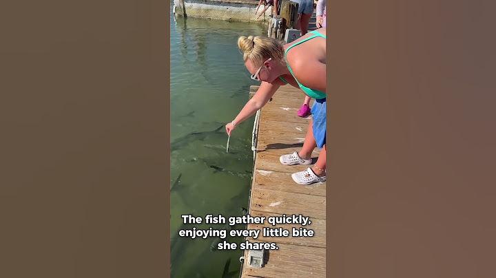 She Didn't Expect This While Feeding Fish! #shorts