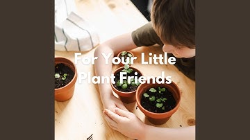 Pulsating Ambience for Folk Dreams