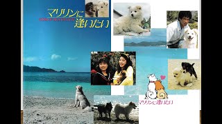 マリリンに逢いたい 1988】懐かしの頁 - YouTube