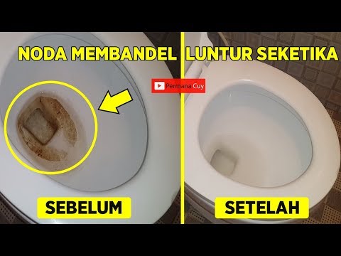 Cara Mudah Bersihkan Noda Kamar Mandi Yang Mengerak