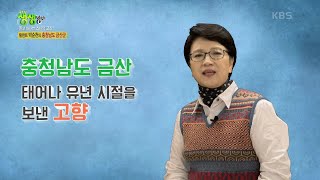 믿고 떠나는 스타의 고장 : 탤런트 박순천의 충청남도 금산군 [2TV 생생정보] | KBS 221118 방송