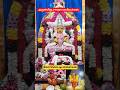 அருள்மிகு சாரதா மாரியம்மன்| amman song #shorts #devotional