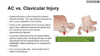 Shoulder | Overview of Anatomy, Biomechanics and Kinesiology (2020)