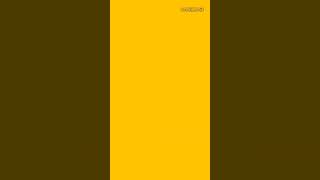 Penjaga Warung Bohay?