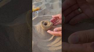 Famous beach lifehack Net Worth