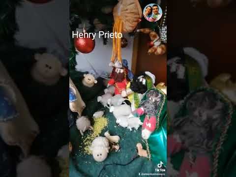 ?HERMOSO Nacimiento de HENRY PRIETO de Colombia, Hecho a Mano con Arte en Tus Manos