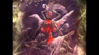Disgorge - Perverse Manifestation