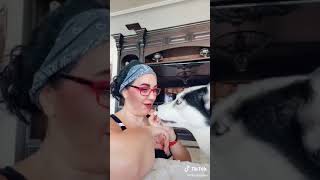 الرقص مع كلبي في تيك توك حمااااس Nina Hazem