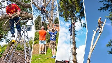 Funniest Tree Cutting Fails 24
