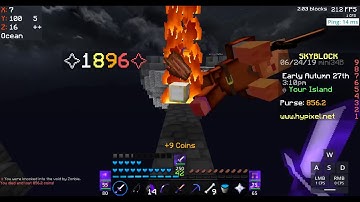 I Think This Is A Bug On Skyblock || Hypixel Skyblock