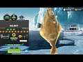 Brand New 13 Star Legendary Fish 😉🐟😦 I Halibut l Fishing Clash Gameplay 🎣🦈🐬🐳🌊🎮