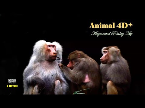 Animal 4D+ (Animal AR App) : Augmented Reality - Part 4