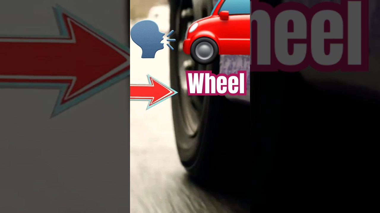 🛞 What is a Wheel? What are Wheels? Wheel Pronunciation 