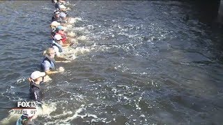 Human chain helps 'lost' dolphins escape from St. Pete canal