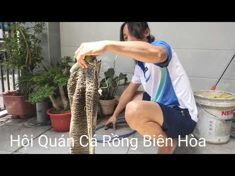 Video Cách giặt nhanh nhất và làm túi lọc không bị phình cho... - youtube