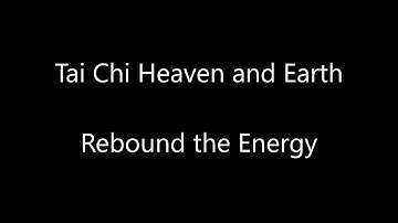 Push Hands - Fajin Rebound the Energy with Sifu Paul Nathan