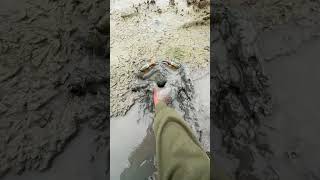 nemu kepiting lagi jalan