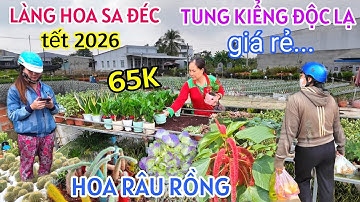 BÙNG CHÁY LÀNG HOA SA ĐÉC 2026 NHIỀU HOA ĐỘC LẠ GIÁ RẺ LẦN ĐẦU XUẤT HIỆN HOA RÂU RỒNG CHƯA TỪNG THẤY