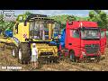 Sunflower Harvesting & Organic Manure Spreading | HOF BERGMANN | Farming Simulator 25