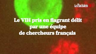 La transmission du VIH filmée pour la première fois